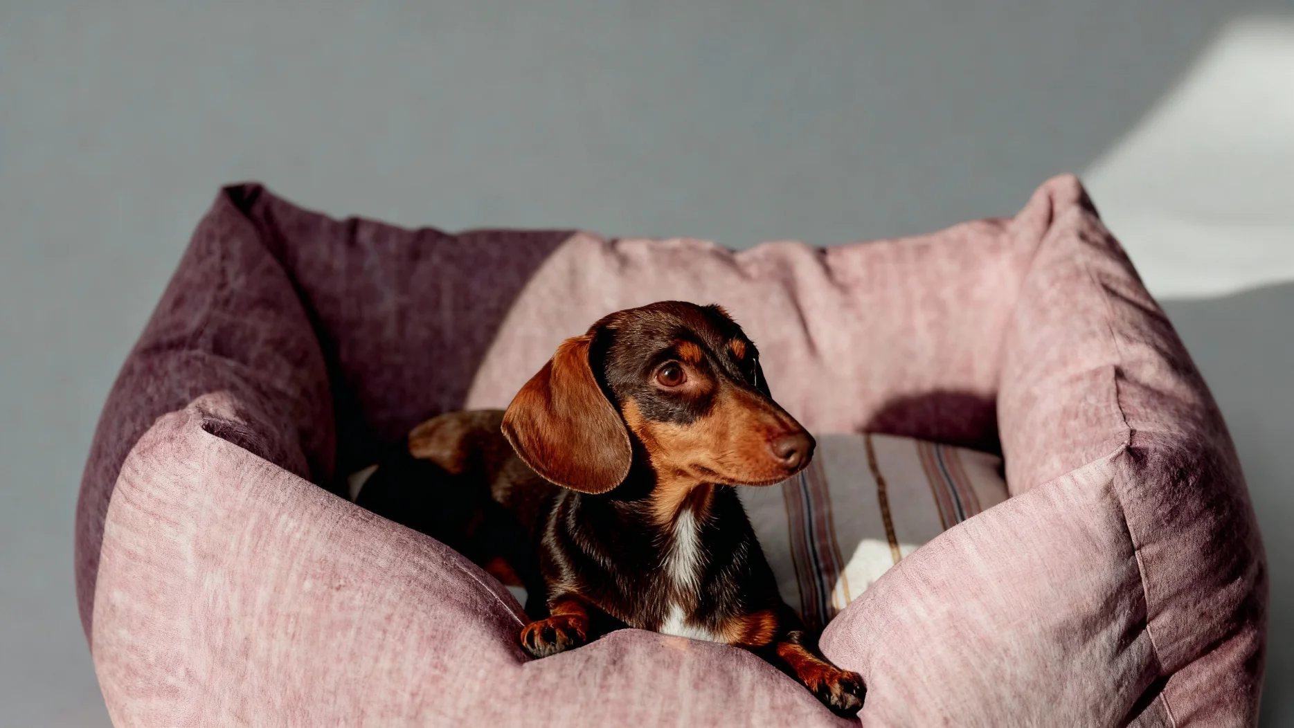 Профессиональные фотосессии портреты семейные фото Love Storyв в Самаре